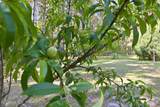 159 Big Macedonia Road - Photo 125