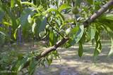 159 Big Macedonia Road - Photo 126