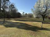 103 Raccoon - Photo 1