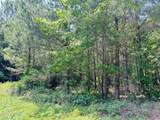 Lot 23 Buckhorn Church Road - Photo 13