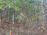 00 Old Faber Road - Photo 5