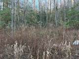 00 Old Faber Road - Photo 6