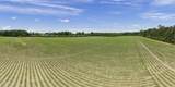 34.4 Acres High School Road - Photo 15