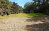 515 Tuttles Grove Road - Photo 3