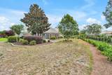 1146 Serotina Drive - Photo 39