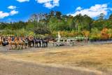 22 Gunter Road - Photo 15