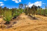 22 Gunter Road - Photo 18