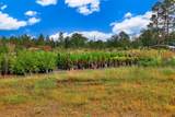 22 Gunter Road - Photo 20