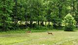 Tract 2 Timber Ridge Road - Photo 13