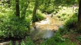 Tract 2 Timber Ridge Road - Photo 2