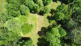 Tract 2 Timber Ridge Road - Photo 8