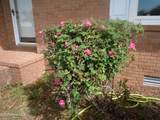 209 Complex Street - Photo 68