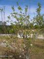 209 Complex Street - Photo 70