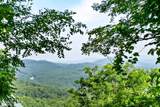 46 Buck Ridge Drive - Photo 16