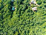46 Buck Ridge Drive - Photo 7