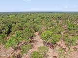 Tbd Donna Drive - Photo 10