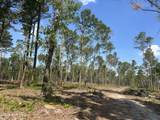 Tbd Donna Drive - Photo 15
