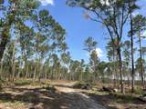 Tbd Donna Drive - Photo 16