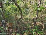52 Fort Holmes Trail - Photo 3