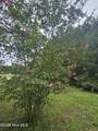 23 Southfork Road - Photo 3