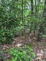 00 Top Horseshoe Ridge - Photo 2