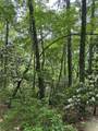 00 Top Horseshoe Ridge - Photo 3