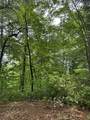 00 Top Horseshoe Ridge - Photo 6