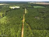 0 Doc Brown Road - Photo 40