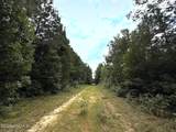 0 Doc Brown Road - Photo 107