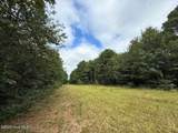0 Doc Brown Road - Photo 112