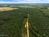 0 Doc Brown Road - Photo 13