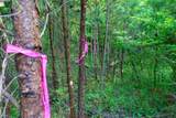 TR 1&2 Gum Log Road - Photo 19