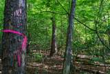 TR 1&2 Gum Log Road - Photo 23
