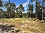 000 Wiregrass Road - Photo 1