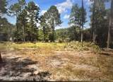 000 Wiregrass Road - Photo 3