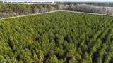 0 White Oak River Road - Photo 4