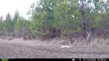 0 White Oak River Road - Photo 57