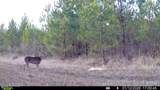 0 White Oak River Road - Photo 58