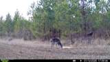 0 White Oak River Road - Photo 59
