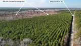 0 White Oak River Road - Photo 6