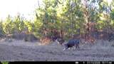 0 White Oak River Road - Photo 60
