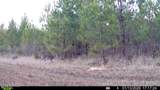 0 White Oak River Road - Photo 61