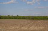 0 Cutchin Farm Road - Photo 2