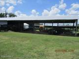 382 Pig Cradle Lane - Photo 8