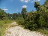 3662 Richlands Highway - Photo 2