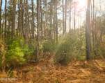 153 Oswell Brinson Road - Photo 4