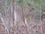 Lot 35 Gum Swamp Lake Road - Photo 3