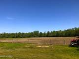 24 Acres White Oak River Road - Photo 15
