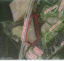 24 Acres White Oak River Road - Photo 17