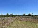 517 Mcdaniels Road - Photo 6